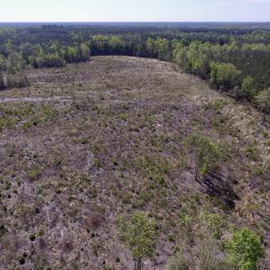 Photo #32 of SOLD property in Off Halifax Road, Lawrenceville, VA 53.3 acres