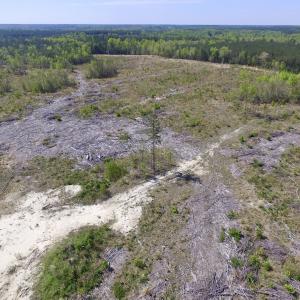 Photo #33 of SOLD property in Off Halifax Road, Lawrenceville, VA 53.3 acres