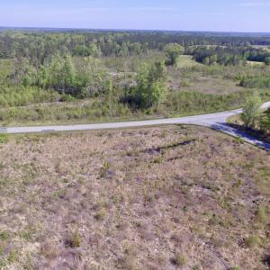 Photo #34 of SOLD property in Off Halifax Road, Lawrenceville, VA 53.3 acres