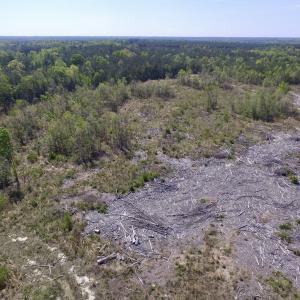 Photo #35 of SOLD property in Off Halifax Road, Lawrenceville, VA 53.3 acres