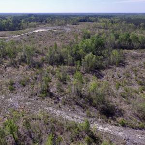 Photo #36 of SOLD property in Off Halifax Road, Lawrenceville, VA 53.3 acres