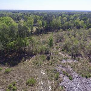 Photo #37 of SOLD property in Off Halifax Road, Lawrenceville, VA 53.3 acres