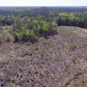 Photo #39 of SOLD property in Off Halifax Road, Lawrenceville, VA 53.3 acres