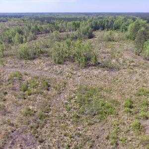 Photo #41 of SOLD property in Off Halifax Road, Lawrenceville, VA 53.3 acres