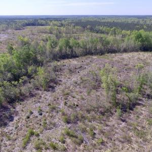 Photo #42 of SOLD property in Off Halifax Road, Lawrenceville, VA 53.3 acres