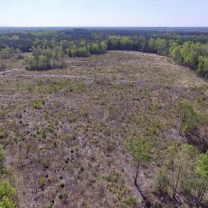 Photo #43 of SOLD property in Off Halifax Road, Lawrenceville, VA 53.3 acres
