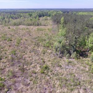 Photo #45 of SOLD property in Off Halifax Road, Lawrenceville, VA 53.3 acres
