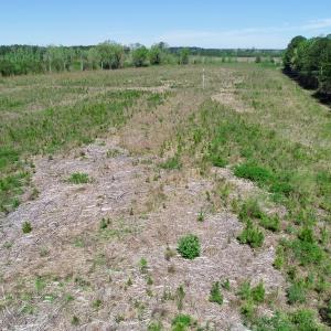 Photo #8 of SOLD property in Off Middle Swamp Rd, Gates, NC 25.4 acres