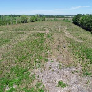 Photo #9 of SOLD property in Off Middle Swamp Rd, Gates, NC 25.4 acres