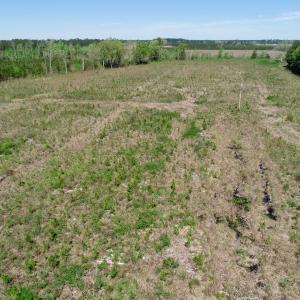 Photo #11 of SOLD property in Off Middle Swamp Rd, Gates, NC 25.4 acres