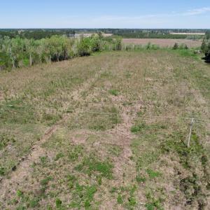 Photo #12 of SOLD property in Off Middle Swamp Rd, Gates, NC 25.4 acres