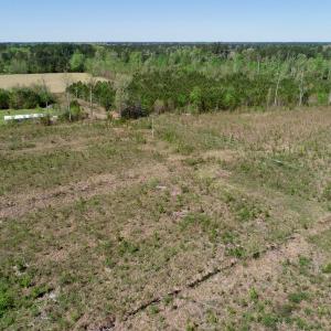 Photo #13 of SOLD property in Off Middle Swamp Rd, Gates, NC 25.4 acres