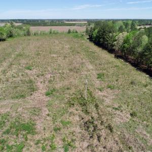 Photo #14 of SOLD property in Off Middle Swamp Rd, Gates, NC 25.4 acres