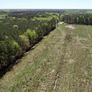 Photo #19 of SOLD property in Off Middle Swamp Rd, Gates, NC 25.4 acres