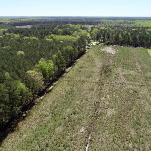 Photo #21 of SOLD property in Off Middle Swamp Rd, Gates, NC 25.4 acres