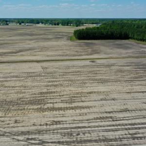 Photo #3 of Off Hwy 43, Vanceboro, NC 25.5 acres
