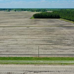 Photo #5 of Off Hwy 43, Vanceboro, NC 25.5 acres