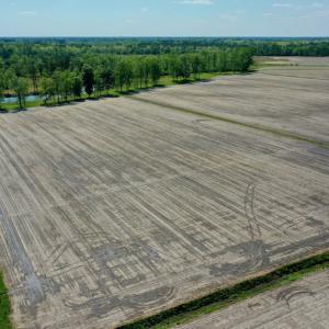 Photo #7 of Off Hwy 43, Vanceboro, NC 25.5 acres