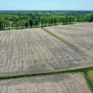 Photo #8 of Off Hwy 43, Vanceboro, NC 25.5 acres