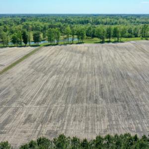 Photo #9 of Off Hwy 43, Vanceboro, NC 25.5 acres