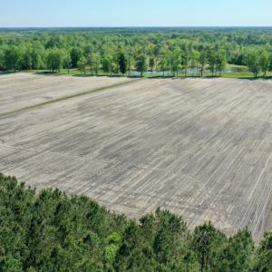 Photo #10 of Off Hwy 43, Vanceboro, NC 25.5 acres