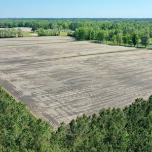 Photo #11 of Off Hwy 43, Vanceboro, NC 25.5 acres