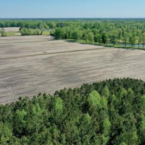 Photo #12 of Off Hwy 43, Vanceboro, NC 25.5 acres