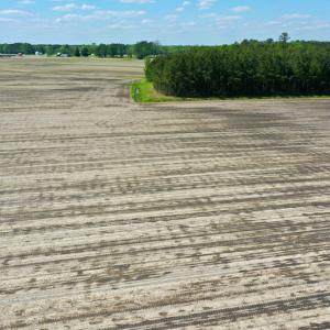 Photo #13 of Off Hwy 43, Vanceboro, NC 25.5 acres