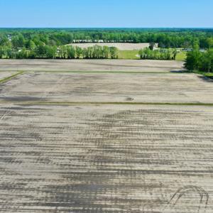 Photo #14 of Off Hwy 43, Vanceboro, NC 25.5 acres