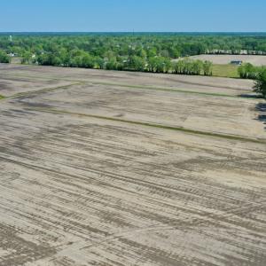 Photo #15 of Off Hwy 43, Vanceboro, NC 25.5 acres