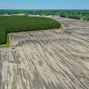 Photo #16 of Off Hwy 43, Vanceboro, NC 25.5 acres