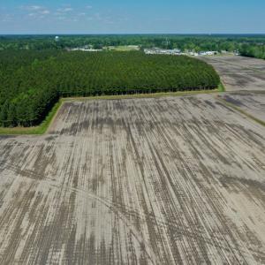 Photo #17 of Off Hwy 43, Vanceboro, NC 25.5 acres