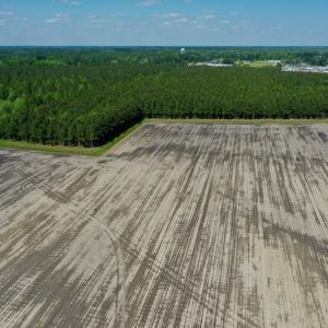 Photo #18 of Off Hwy 43, Vanceboro, NC 25.5 acres