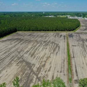 Photo #19 of Off Hwy 43, Vanceboro, NC 25.5 acres