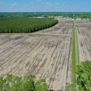 Photo #20 of Off Hwy 43, Vanceboro, NC 25.5 acres