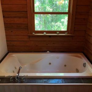 Photo #21 of SOLD property in 2731 Florence Road, Merritt, NC 6.8 acres