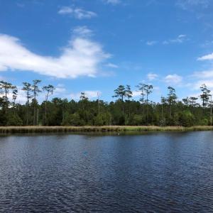 Photo #25 of SOLD property in 2731 Florence Road, Merritt, NC 6.8 acres