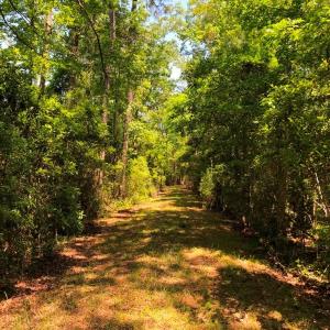 Photo #35 of SOLD property in 2731 Florence Road, Merritt, NC 6.8 acres