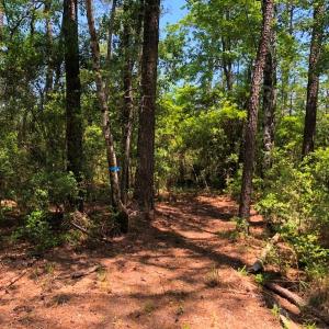 Photo #36 of SOLD property in 2731 Florence Road, Merritt, NC 6.8 acres