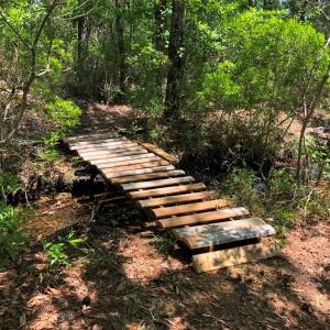 Photo #37 of SOLD property in 2731 Florence Road, Merritt, NC 6.8 acres