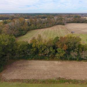Photo #5 of SOLD property in Off Biddle Road, Dover, NC 13.9 acres