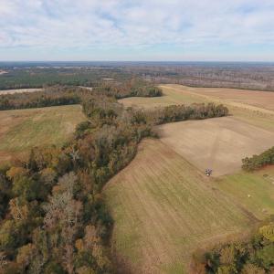 Photo #8 of SOLD property in Off Biddle Road, Dover, NC 13.9 acres