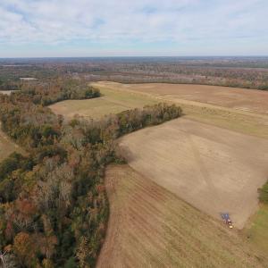 Photo #9 of SOLD property in Off Biddle Road, Dover, NC 13.9 acres