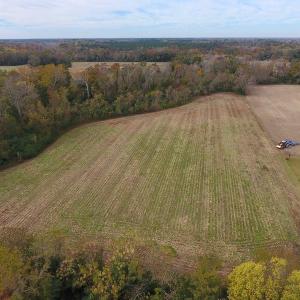 Photo #11 of SOLD property in Off Biddle Road, Dover, NC 13.9 acres