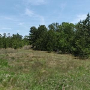 Photo #14 of SOLD property in Off Rosindale Road, Council, NC 32.7 acres