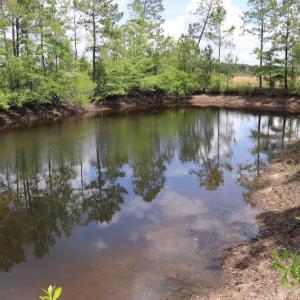 Photo #18 of SOLD property in Off Rosindale Road, Council, NC 32.7 acres