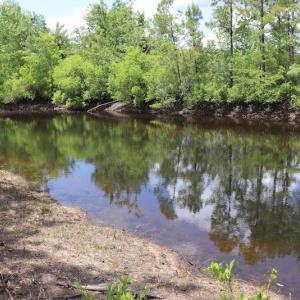 Photo #19 of SOLD property in Off Rosindale Road, Council, NC 32.7 acres