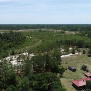 Photo #22 of SOLD property in Off Rosindale Road, Council, NC 32.7 acres