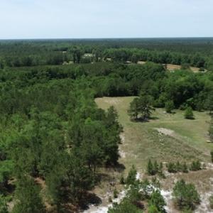 Photo #24 of SOLD property in Off Rosindale Road, Council, NC 32.7 acres