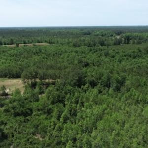 Photo #25 of SOLD property in Off Rosindale Road, Council, NC 32.7 acres